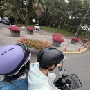 쓩쓩렌탈#도두점 | 🛵제주 공항 근처 쓩쓩렌탈샵에서 스쿠터 타고 이호테우해변 달리기🌊