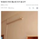 헤어겔러리 - 남동구 | 헤어겔러리