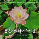 삼성정화(주) | 삼성역 데이트 코스 추천, 고즈넉한 봉은사 & 코엑스 허머스키친
