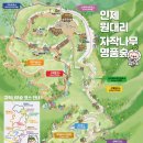 5월17일 제34차 자작나무 명품숲 정기산행 공지 (인제군) 이미지