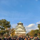먹자천국 - 관악구 양지길 2-1 | 일본오사카여행 청수사 여우신사 동대사( 후기)