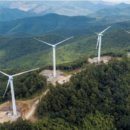 김현수 태양광발전소 이미지