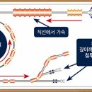 중입자치료지원센터