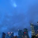 리버트리 이미지