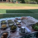 금남멧돼지 이미지