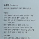 인생극장 이미지