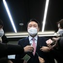 꼬투리걸 이미지
