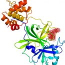 에이치티에이치 이미지