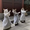 현동작은도서관 | 5월. (클럽 공연, 왕거미 식당, 매일 신문.)