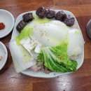 자전거로 그리는 우 이미지