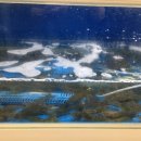 해뜰날횟집 이미지