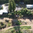 숲속의집펜션민박 이미지