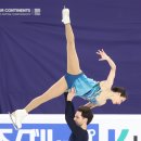 스텔라토 이미지