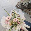 메종 드 호야