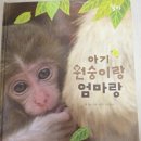 내돈내산 베베코알라·놀라운자연 전집 후기, 가든북스에서 직접 보고 왔어요