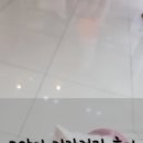 향남메디동물병원 이미지