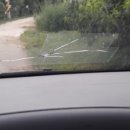 재수 농장 이미지