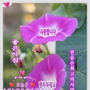 샬롬 이미지