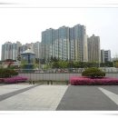메트로갤러리 Daum카페