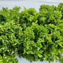 김인기농장 이미지