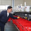 제주감귤농업협동조합위미지점 이미지