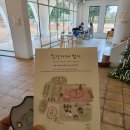 일대농장 | [제주 서귀포 목장 카페] 아이와 가기 좋은 승마 체험 농장 카페 ‘밭디’ 솔직 방문 후기