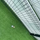 가평댕댕이애견펜션&글램핑골드 이미지