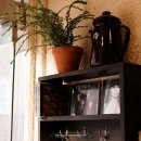 바바아시(babaasi) 이미지