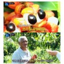 내몸에 초록
