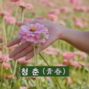 김*필 이미지