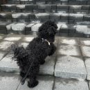 양을로 41번길 이미지