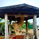 대흥마트 이미지