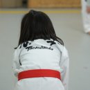 효태권도 이미지