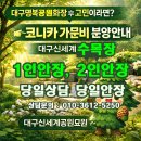 안식목장 | 대구명복공원 화장 후 장지 고민이라면?대구수목장 선택 기준 + 코니카 가문비 분양 안내 (대구신세계...