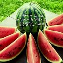 코스메니아 - 창원시 마산합포구 자산서14길 95 | 코스메니아