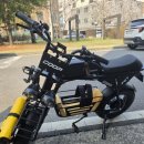 몬스터바이크 | 🚴‍♂️ 강아지랑 같이 타는 전기바이크? 몬스터 쿱펫 🐶