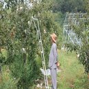 와룡농원 이미지