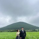 앨리스 in 제주비 | 제주 웨딩스냅 토탈샵 케이살롱 후기 드레스 헤어변형 부케 총정리