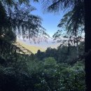 블루마운틴 이미지