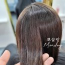 뽀끌랑헤어살롱 이미지
