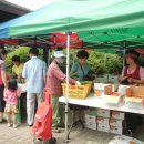 어양동사무소 이미지