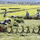 제31사단 503여단 이미지