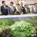 친환경농산물웰빙시대 연합뉴스