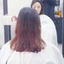 헤어베네 이미지