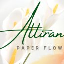 페이퍼플라워 힐링 클래스 이미지