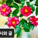 영원한 것은 없네 / 정복자 이미지