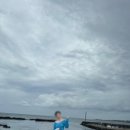 집의 기록 이미지