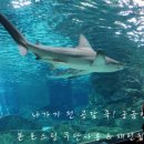 카페드롭탑속초 이미지