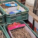 보령건강원 이미지