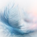경기도 여주시 이포토종한우전문, 영업시간, 후기, 가는법